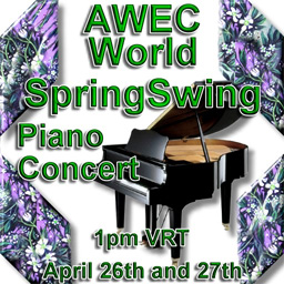 AWEC SpringSwing