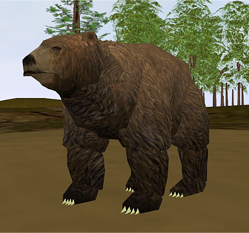 grizzly bear