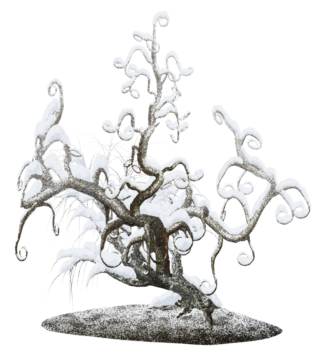 snowy tree